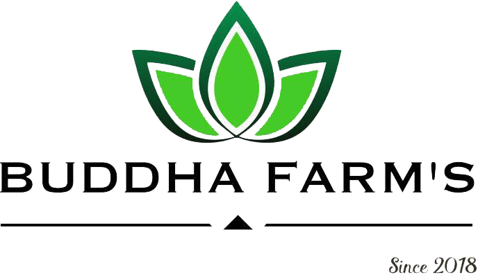 client-logo